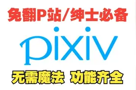 【pixiv】手机上p站安装包登入p站最强插画软件镜像版pixez!视频封面