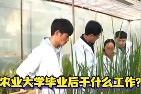 农业大学毕业后干什么工作？视频封面