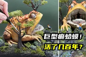 模型制作：体型这么大的癞蛤蟆你肯定没有见过！据说活了几百年！