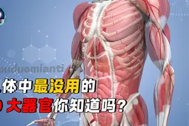 人体中最没用的10个器官，这些人体器官存在的意义在哪？视频封面