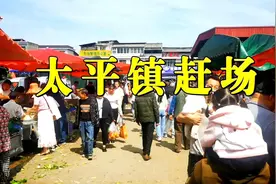 成都坐公交车到太平镇赶场，感受不一样的乡村集市视频封面