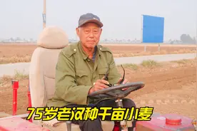 75岁老汉种千亩小麦，开车镇压胜过小伙，说起小麦管理涛涛不绝视频封面