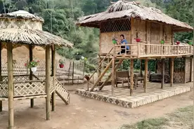 农村姑娘独自修建木屋凉亭，一番精心打造，最终成品惊艳众人视频封面