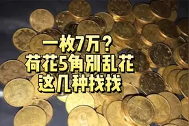 7万多？荷花5角别乱花，这几种找找视频封面