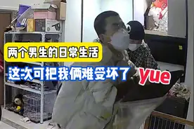 两个男生的同居日常||以后再也不干这事儿了 都不想活了视频封面