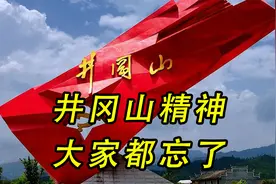 毛主席感慨地说：真正的井冈山精神，大家都已经忘了视频封面