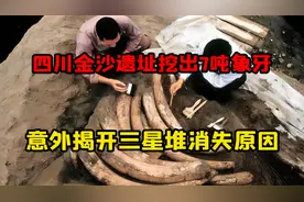 四川金沙挖出7吨象牙，古蜀人用巨象牙祭祀，揭开三星堆消失原因视频封面