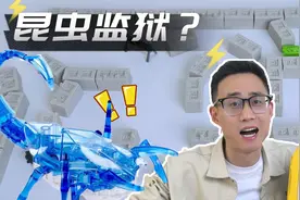 家里虫子乱跑怎么办？用太空沙建造了一座迷宫，它们能找到出口吗