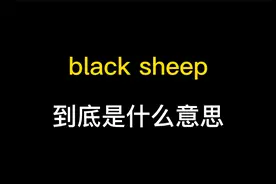 black sheep到底是什么意思？视频封面
