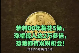 精制00年梅花5角，涨幅惊人达2万多倍，珍藏即有发财机会！视频封面