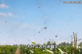 为什么有的人每天只睡4个小时依然精力充沛？