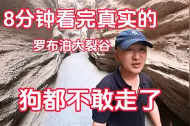 8分钟看完真实的罗布泊无人区大裂谷，狗子都吓得不敢往前走了。视频封面