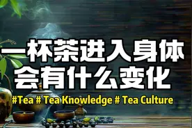 一杯茶进入身体以后会有哪些变化？在体内24小时的旅程是怎样？