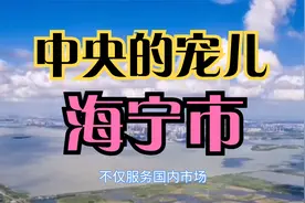 百强县之浙江海宁市——中央的宠儿视频封面