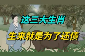 这三个生肖生来就是为了还债，并且会用一生的时间来还债！视频封面