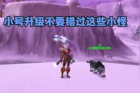 魔兽怀旧服30级以下掉落极品的小怪 小号千金马有着落了视频封面