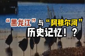 “黑龙江”与“阿穆尔河”，历史记忆！？视频封面
