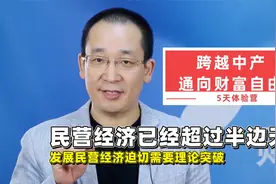 民营经济已经超过半边天，发展民营经济迫切需要理论突破视频封面