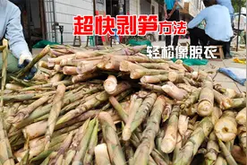 小笋剥壳方法有很多，简单快捷就一种，30斤笋十分钟搞好你试过吗视频封面
