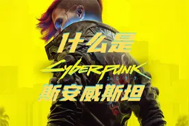 赛博朋克2077 什么是斯安威斯坦？