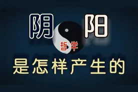 坚持看完本视频，你就会明白”阴阳“概念产生的底层原理【盗圣】视频封面