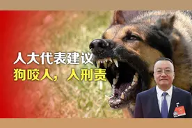 司马南丨人大代表庹庆明建议：狗咬人，入刑责