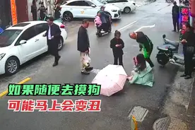 “随便去摸狗，马上就变丑”，女子逛街乱摸陌生狗，结果悲剧了！