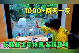 北京出发两天一夜1千多元，广州长隆亲子游不走回头路完美攻略