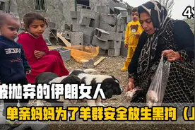 放生大黑狗！米娜最新后续第435集，单亲妈妈的预产期（上）视频封面