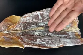 泡发鱿鱼时，只加清水就错了，饭店大厨教我一招，2小时泡5倍大