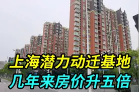上海很具潜力的动迁基地，几十万居民搬来这，几年来房价升了五倍视频封面