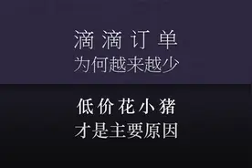 滴滴打车为什么订单越来越少？因为滴滴把大量订单都分配给花小猪
