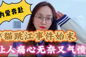 胖猫跳江事件始末，让人痛心无奈又气愤视频封面