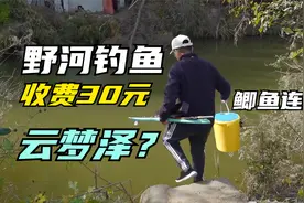 野河钓鱼收费30元，什么鱼都可以钓！视频封面