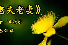 经典文章诵读，《老夫老妻》，作者：冯骥才视频封面