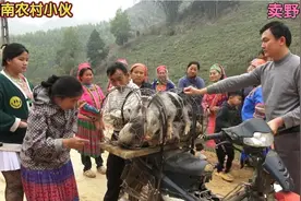 越南小伙深山隐居搞养殖，养的野猪出栏了，拿村里镇里人们抢着买视频封面