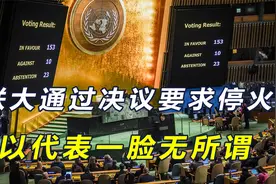 联大通过决议要求巴以立即停火，以代表一脸无所谓，举牌表示不满视频封面