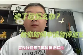 逾了后怎么办？教你如何申请暂停还款