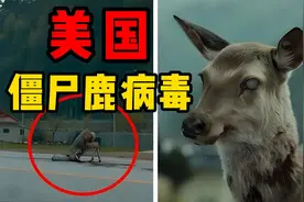 僵尸启示录的开始？美国检测出高传染性“僵尸鹿”病毒
