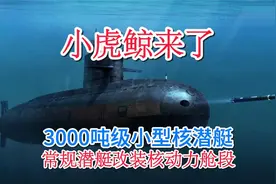 小虎鲸将批量下饺子，常规动力潜艇或全核化，战力倍增成近海之王视频封面