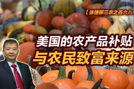 【张捷聊三农之百六八】美国的农产品补贴与农民致富来源视频封面