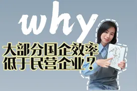 国企员工心态揭秘：为何只求安稳，不敢创新视频封面