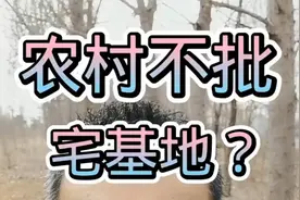 农村为啥不批宅基地了？视频封面