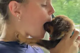 萌娃和狗狗的治愈时刻，这大概就是小孩喜欢狗狗的原因！视频封面