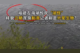 福建左海湖惊现“湖怪”，样貌丑陋浑身黏滑，记者称是外星生物视频封面