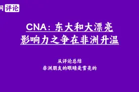 非洲网友如何评论东大和大漂亮在非洲的影响力争斗