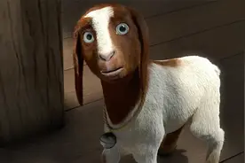 小羊的故事视频封面