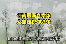 江南烟雨春意浓，人流如织游兴浓视频封面