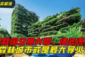 马来西亚投资的烂尾森林城市，或许是碧桂园债务危机的导火线视频封面