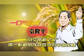 袁隆平“杂交水稻之父”用一粒稻米改变世界的中国英雄视频封面